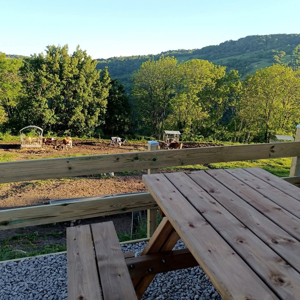 Week end couture à la ferme – Image 6