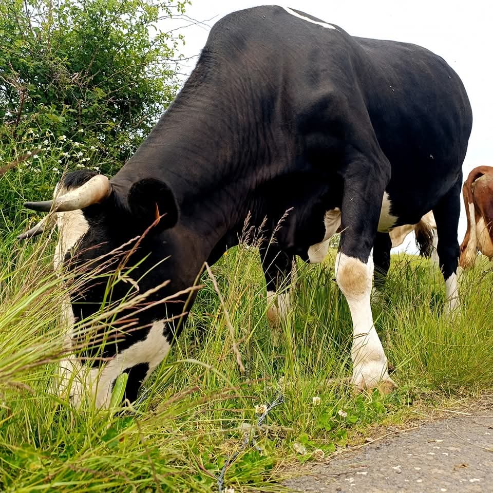 Week end couture à la ferme – Image 7